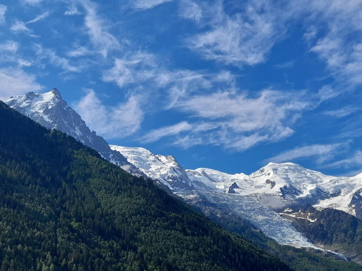 Appartamento Le Petit Balcon Avec Vue Sur Le Mont-blanc 2 Etoiles Chamonix